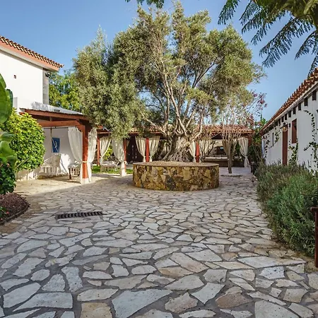 Vila La Rosa De Vientos Costa Adeje (Tenerife)