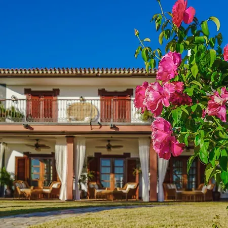 La Rosa De Vientos アデヘ
